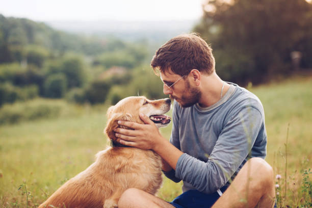 Serbia, Adult, Adults Only, Animal, Autumn, Golden Retriever