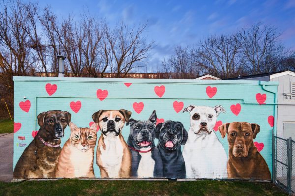 New England Humane Society-Int-Ext