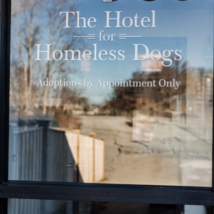 Hotel-Branding_0181